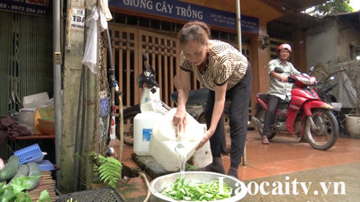 Lào Cai: Nhiều hộ dân xã Phú Nhuận, huyện Bảo Thắng thiếu nước sạch sinh hoạt